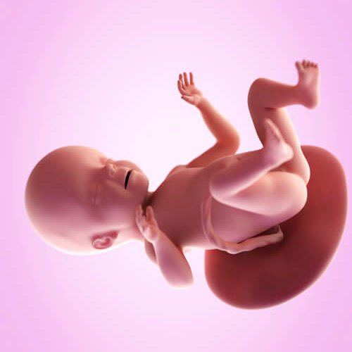 Kuinka kehittynyt vauva on kuudennen raskauskuun jälkeen?