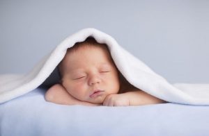 Mikä on maitorupi ja miten sitä hoidetaan?