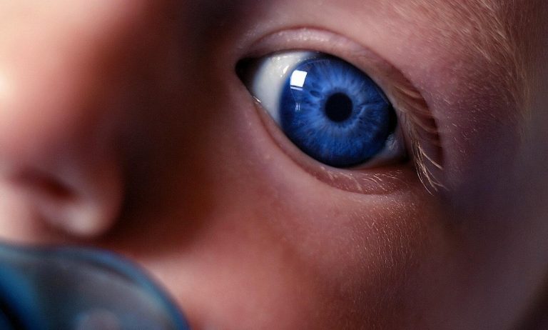 Vauvan näköaistin kehitys ensimmäisten elinkuukausien aikana