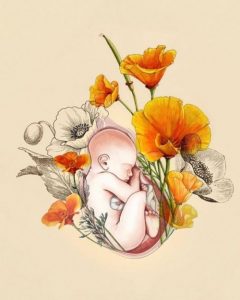 Olen rakastanut sinua ensimmäisestä sydämenlyönnistäsi lähtien