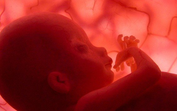 Yleisimmät hedelmällisyyteen liittyvät myytit