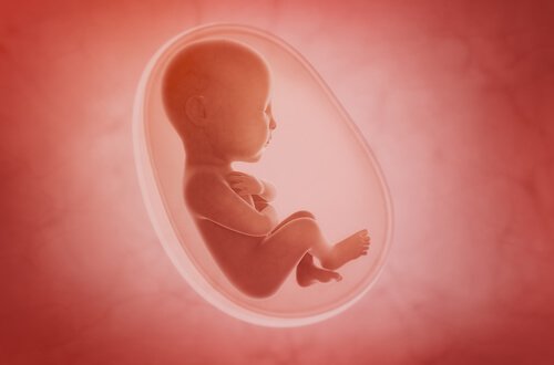 Lapsiveden vähyys raskauden aikana
