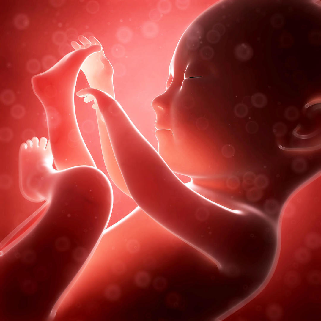 Yleisin sikiön asento kohdussa synnytyksen lähestyessä on raivotarjonta.