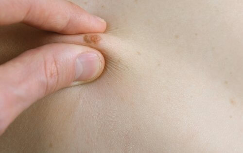 Kaikki mitä tarvitsee tietää lasten luomista