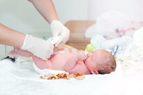 Navan alue tulee pitää kuivana, suojattuna ja peitettynä