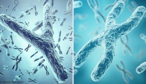 Autosomaaliset kromosomihäiriöt voidaan luokitella kahteen luokkaan