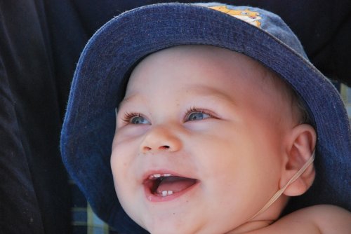 Vauvan ensimmäiset hampaat puhkeavat vauvan ollessa noin seitsemän kuukauden ikäinen