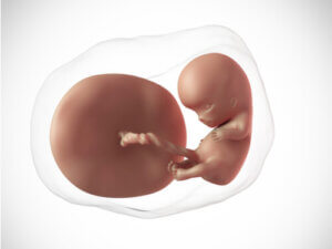 Kymmenes raskausviikko