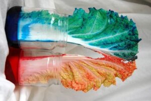 Värjätty kaali on kiehtova koe lapsille.