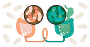 Milloin ulosteensiirto voidaan suorittaa?