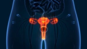 Kuinka tarkistat kohdunkaulasi