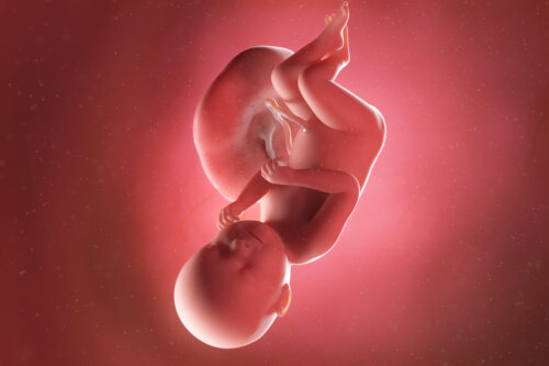 38. raskausviikko: oireet, vauvan kehitys ja suositukset